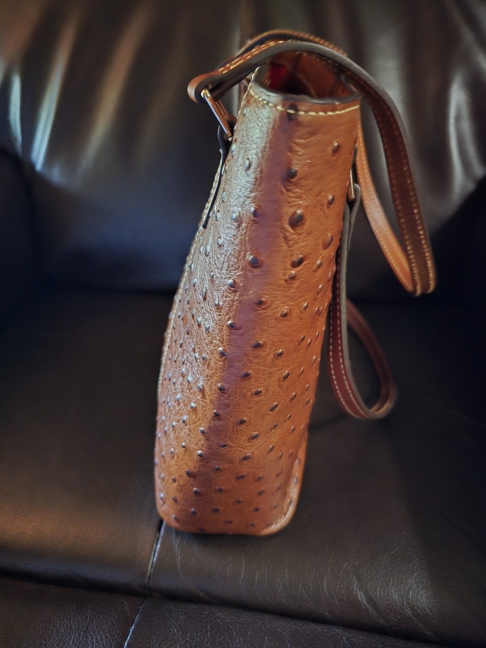 Dooney & Bourke Brown Ostrich Leather Tote Bag - Picture 7 of 7